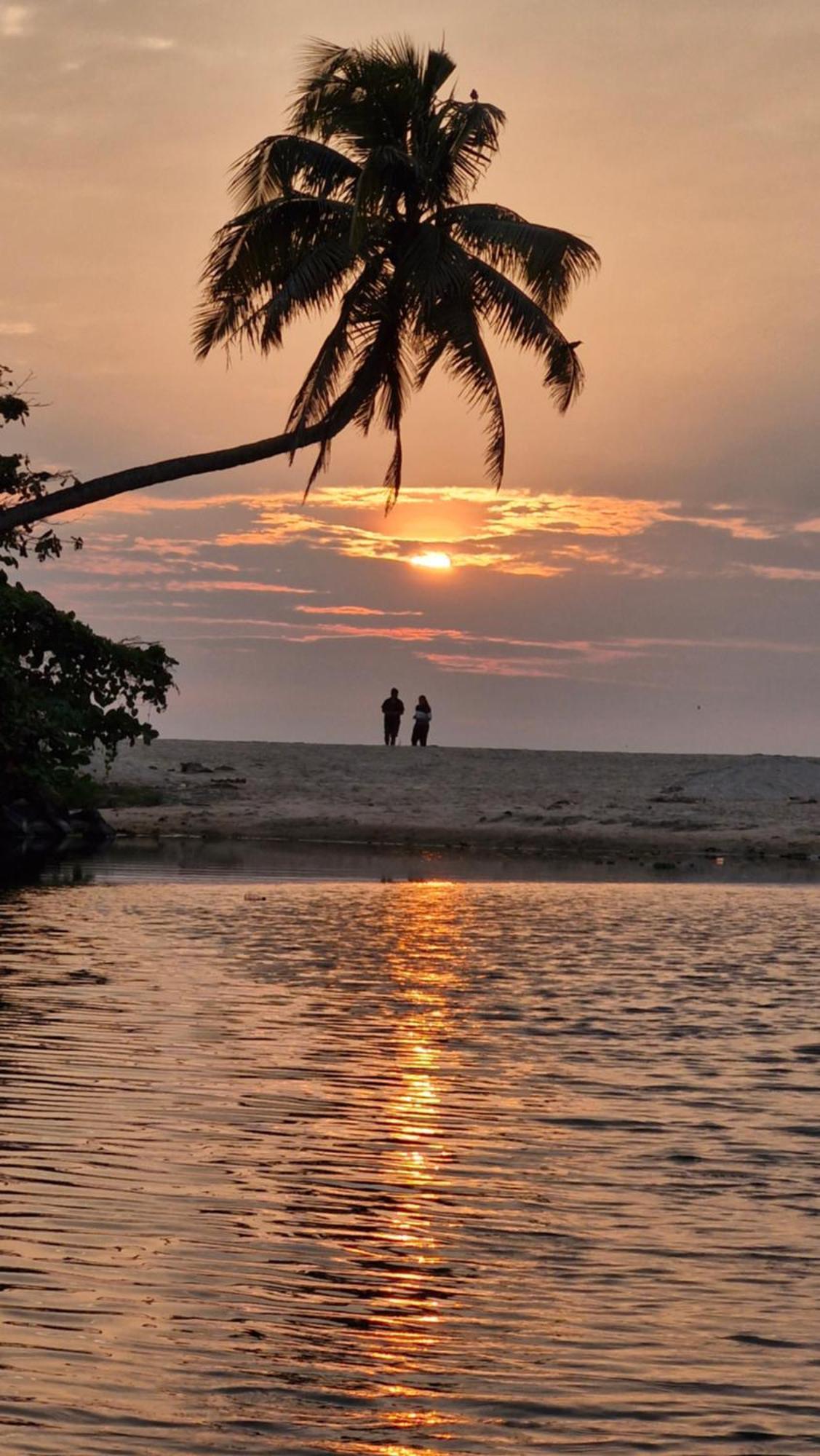 Gypsea Marari Bed & Breakfast Alappuzha Luaran gambar